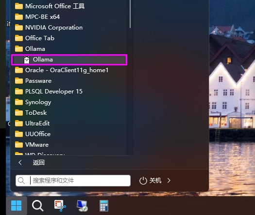 本地部署 DeepSeek 大模型教程