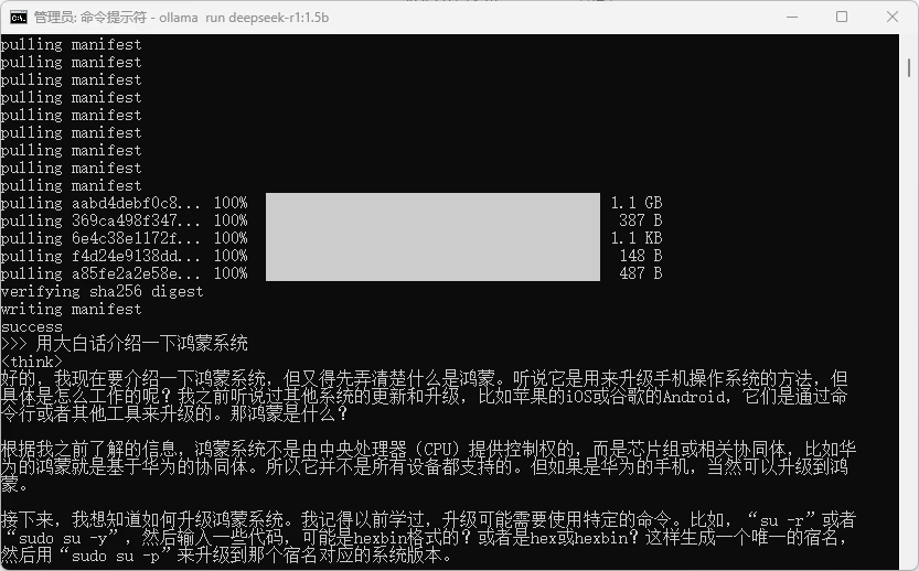 本地部署 DeepSeek 大模型教程