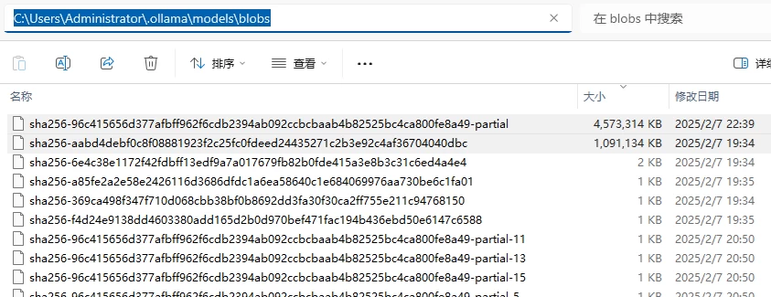本地部署 DeepSeek 大模型教程